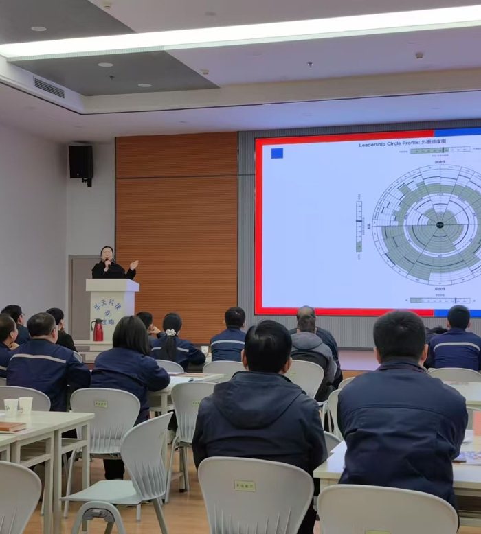 全景领导力模型讲解